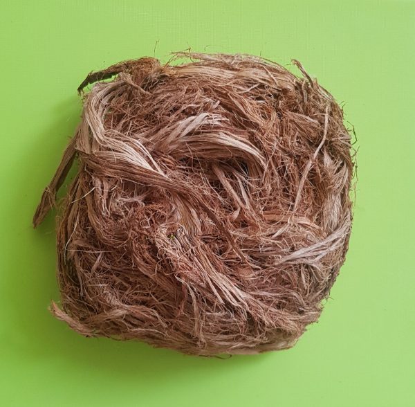 Acacia caesia - Palinja, Incha, Soap bark