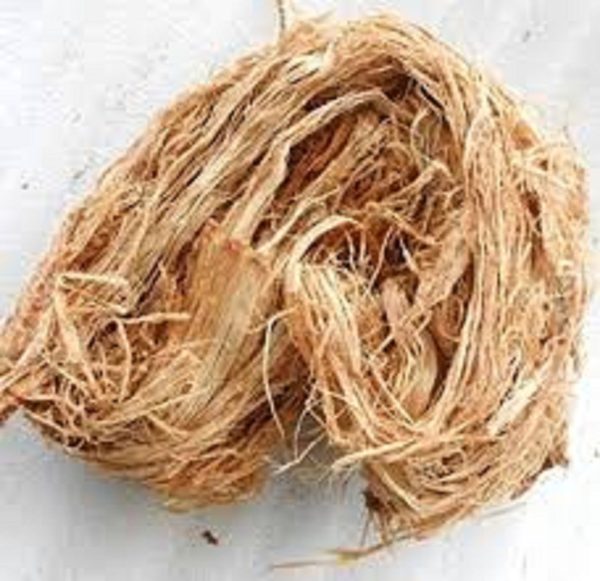 Acacia caesia - Palinja, Incha, Soap bark - Image 2