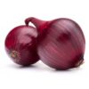 Allium cepa 'Rouge Foncé de Hollande' - Onion Red Burgundy,   red onion,   red onion brunswick wine,   dark red onion from holland,   brunswick onion - Image 2