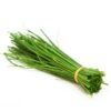 Allium schoenoprasum 'Fine Leaved' - Chives 'Fine Leaved' - Image 5
