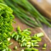 Allium schoenoprasum 'Fine Leaved' - Chives 'Fine Leaved' - Image 6