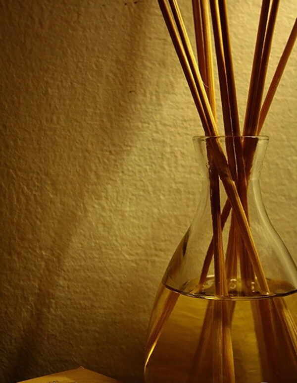 Santalum album - Indian Sandalwood, Sacred Timber - Image 4