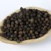 Piper nigrum - Black pepper, Blackpepper, Peppercorn