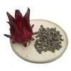 Hibiscus sabdariffa / Sabdariffa rubra / Abelmoschus cruentus - Roselle, Jamaican Sorrel, Florida Cranberry, Indian Roselle, Red Sorrel - Image 23