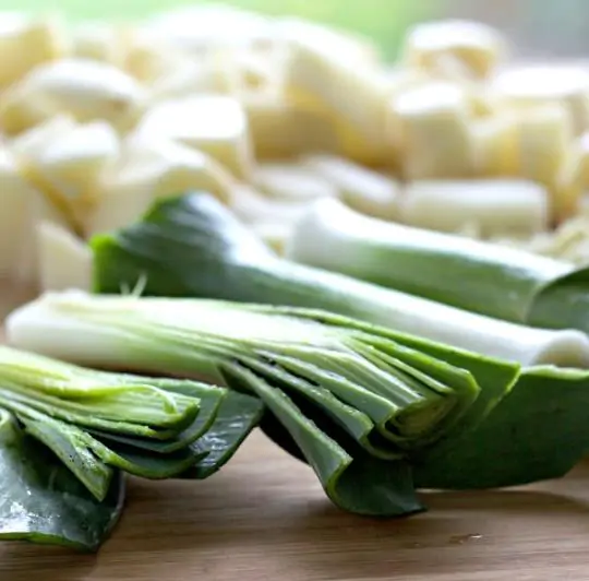 Allium ampeloprasum / Allium adscendens - Porrum Geant de Suisse, Wild Leek, Broadleaf Wild Leek, Giant Swiss Leek, Giant Swiss Leek Early Summer, Giant Leek