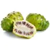 Morinda citrifolia - Noni, Indian Mulberry - Image 8