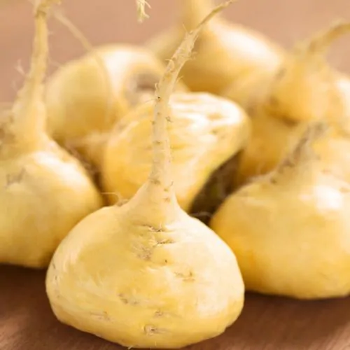 Lepidium meyenii / Lepidium peruvianum - Maca, Macoa, Peruvian Maca, Andes Ginseng, Incas Travel, Peruvian Ginseng, Maca-Maca, Maino, Ayak Chichira, Ayak Willku - Image 3