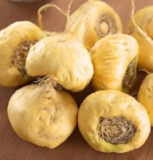 Lepidium meyenii / Lepidium peruvianum - Maca, Macoa, Peruvian Maca, Andes Ginseng, Incas Travel, Peruvian Ginseng, Maca-Maca, Maino, Ayak Chichira, Ayak Willku - Image 4