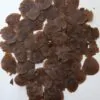Dioscorea alata / Dioscorea rubella / Elephantodon eburnea - Purple yam, Ube, Greater Yam - Image 11